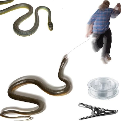 Snake prank with string - with, clip