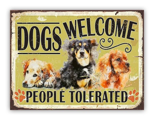 Funny dogs welcome people - funny,